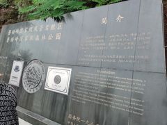 -磬锤峰森林公园