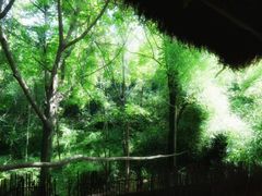 -终南山国家森林公园