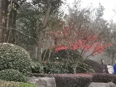 -天目湖涵田半山温泉