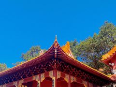 -深圳仙湖植物园