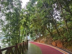 -广州市流溪河国家森林公园