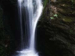 -牛背梁国家森林公园