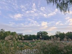 -三忘湖 SWANSEEN(柳荫公园店)