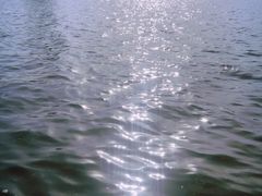 -郑东新区龙湖公共艺术中心
