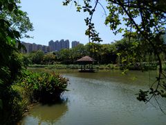 -金山公园