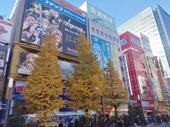 -秋叶原电器街
