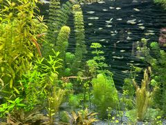 -上海海洋水族馆