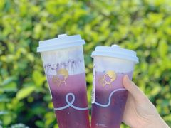 多肉葡萄-喜茶(深圳丰盛町店)