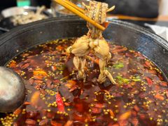 -鸿顺老铁锅美蛙鱼府(解放碑店)