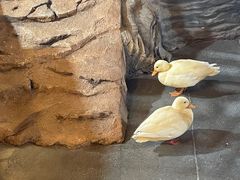 -昆明大悦城未来动物城(螺蛳湾中心店)