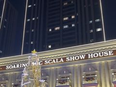 -斯卡拉演艺集团