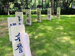 -陈家山荷花公园