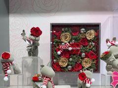 -ROSEONLY诺誓(国际广场购物中心店)