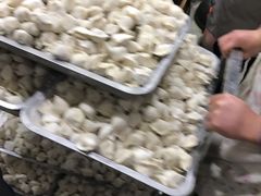 -回坊马二饺子馆