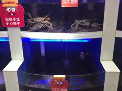 水产区-七欣天香辣蟹火锅(苏州相城VIP总店)