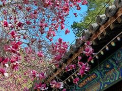 -潭柘寺景区
