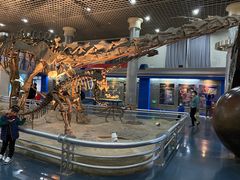 -国家自然博物馆