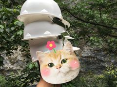 -太鲁阁公园
