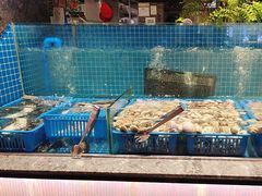 -曼格活海鲜·牛排自助(光明蓝鲸店)