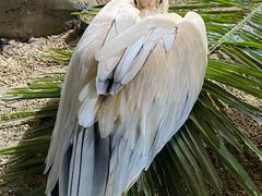 -海合安武汉极地海洋公园