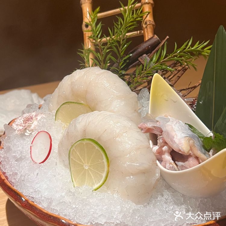 被胖鼓鼓的河豚鱼吸引