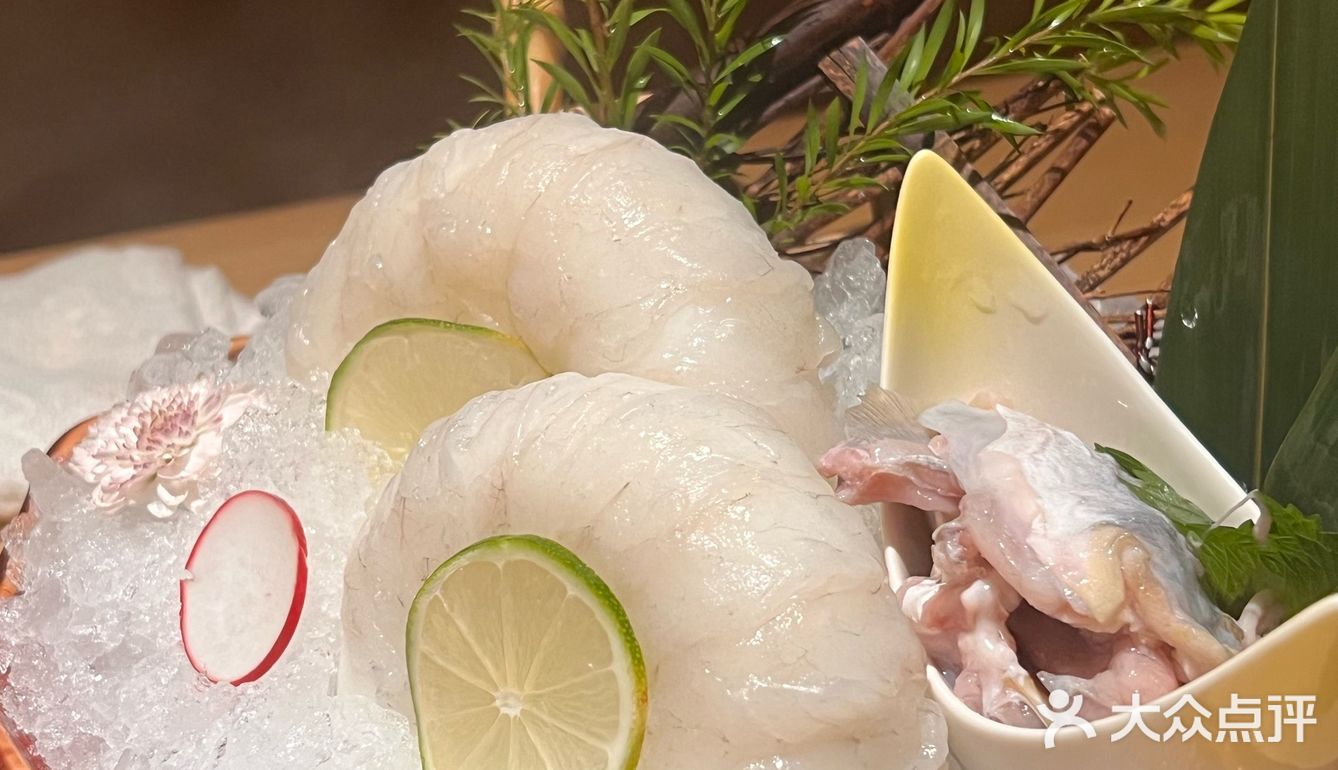  被胖鼓鼓的河豚鱼吸引