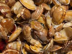 -前海沿·青岛菜(乐客城店)