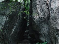 -渡海小渔村.老辈日照菜