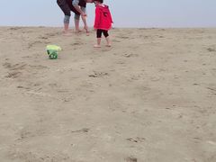 -碧海金沙