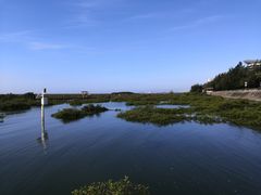 -北海金海湾红树林生态旅游区