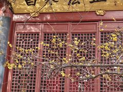 -洛阳白马寺