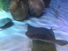 -沈阳海洋探索中心