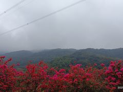 -广州市帽峰山景区