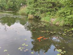 -白马涧龙池景区