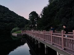 -桃花岭景区