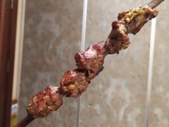 红柳烤肉-巴依老爷新疆美食(清华东门店)