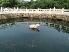饮马池-白马涧龙池景区