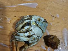 -毛家冷饮