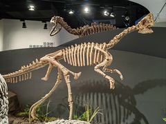-自贡恐龙博物馆