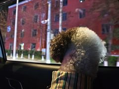 -楼外楼大刀肉传统火锅(西安大路店)