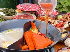 -阳阳老火锅(小南门店)