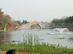 -映月湖公园