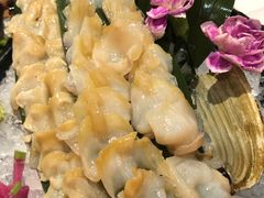 加拿大冰山活象拔蚌-季玄精致日本料理自助餐(闸北公园店)