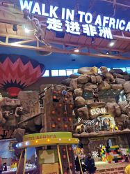-卡通尼·Safari非洲探索乐园·生日会(金桥国际商业广场店)