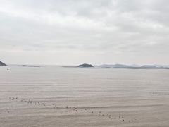 -北岐滩涂