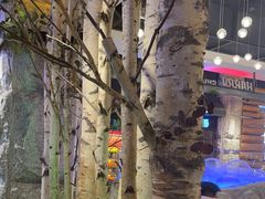 -河坝烧烤串城(金达莱店)