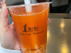 葡萄柚绿-1点点(晒布店)