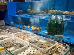 -潮庭·大连海鲜·炭火烧烤·扇贝王(大连店)