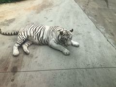 -西安秦岭野生动物园