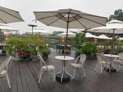 -白鹭湾湿地公园